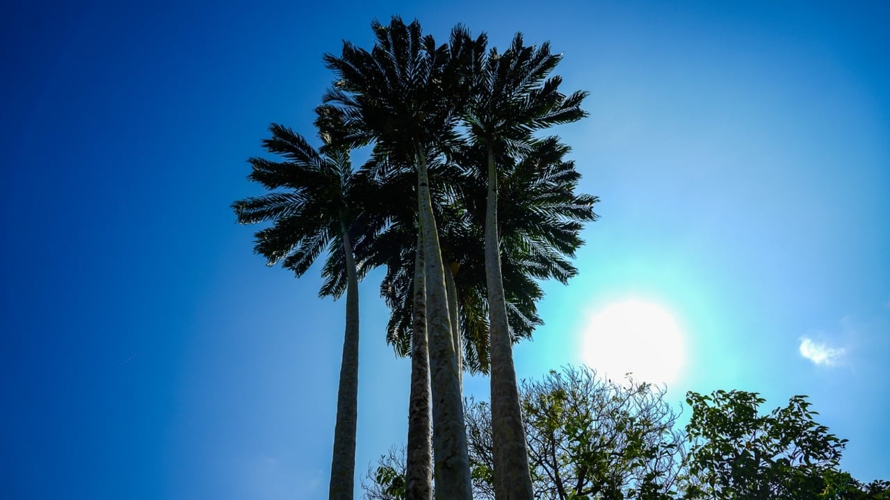 Stunning 2-Bedroom, 2-Bathroom Home with Pool on a Spacious Lot in Ojochal – Calle Papagayo