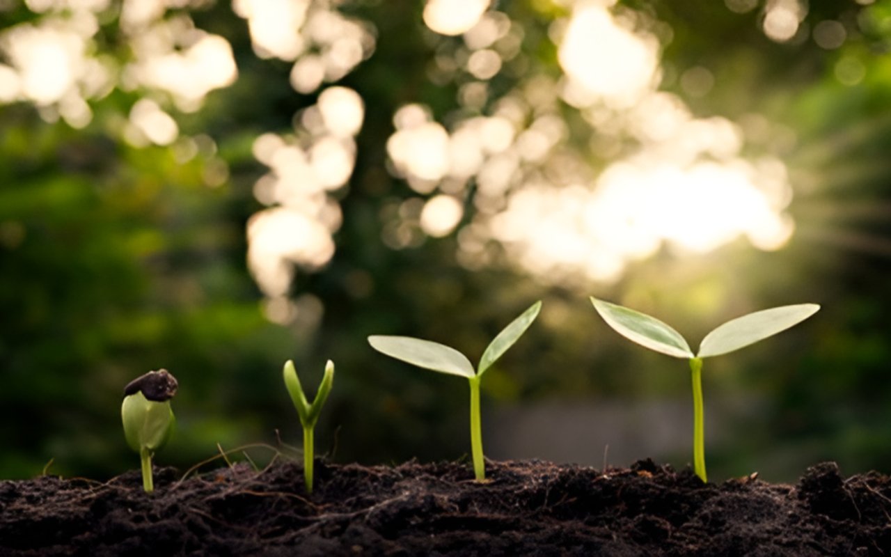 Sustainable Living in Atlanta: Green Home Improvements that Add Value