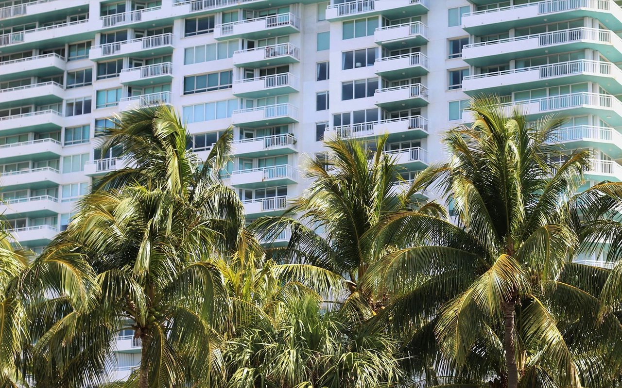 White condominium tower with rows of balconies rising behind palm trees.