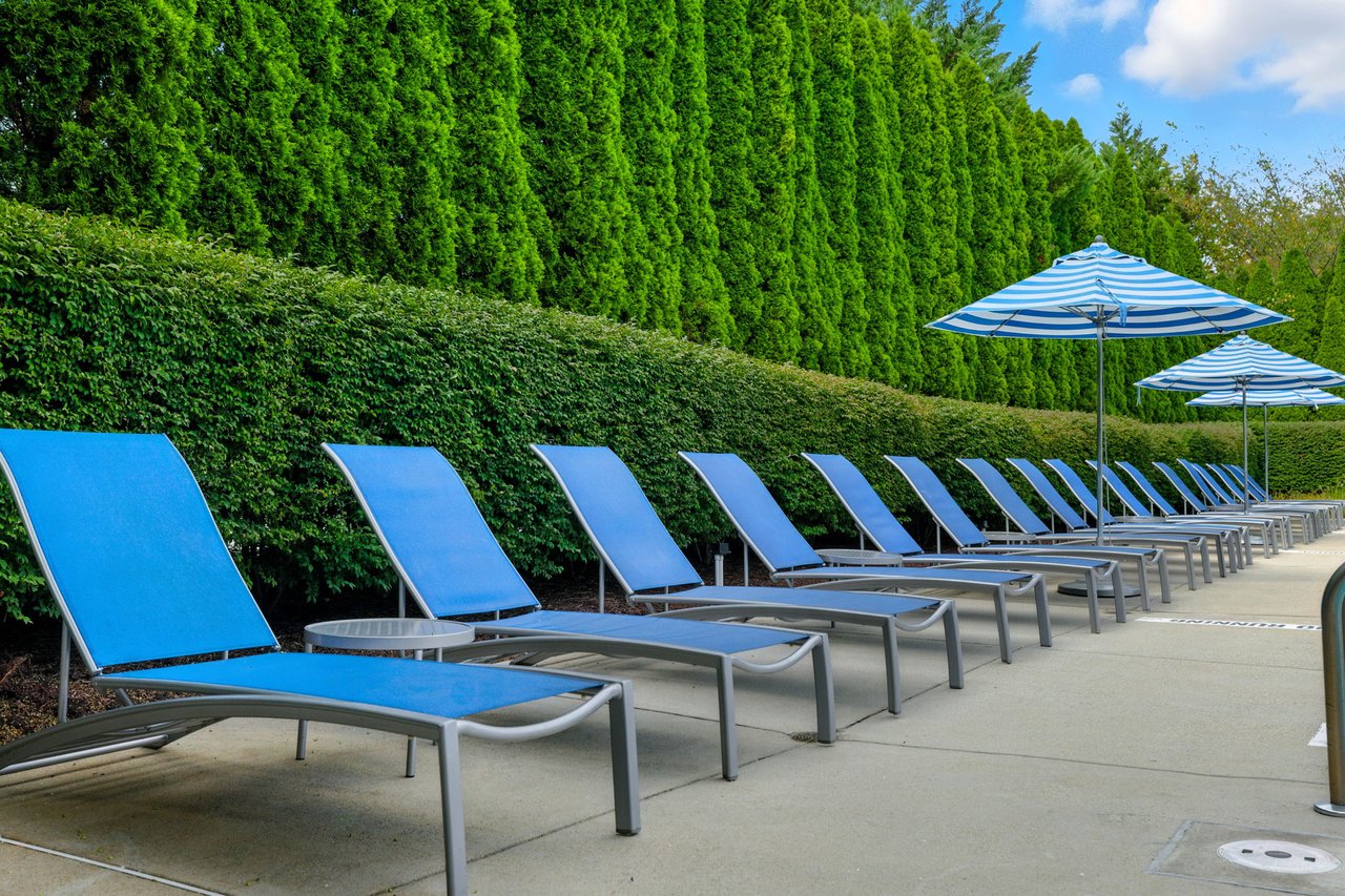 Just Listed: 16588 Levade Drive – Luxury Living in Raspberry Falls, Leesburg VA