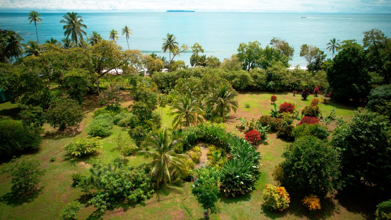 UNIQUE BEACHFRONT FROM PARADISE! RINCON DE SAN JOSECITO!