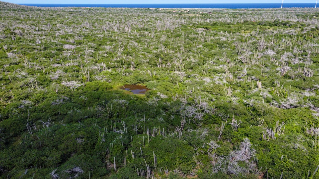 Property land Bonaire