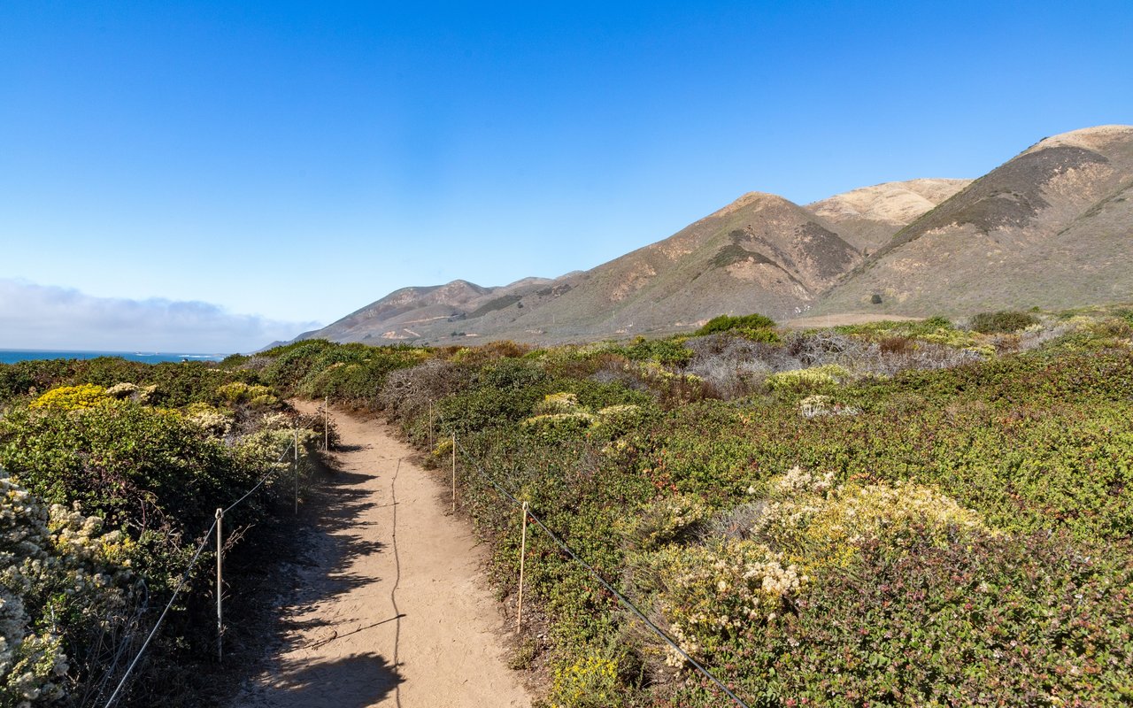 Trails 
