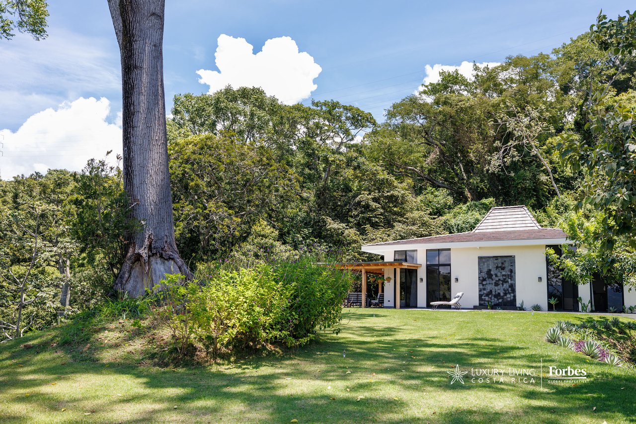 Modern white home beside a broad lawn, framed by dense greenery and a massive tree.