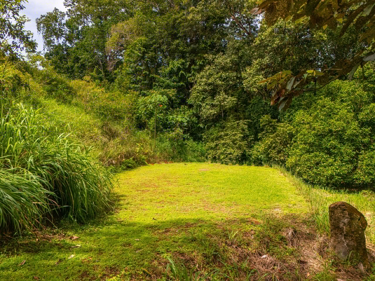 Plant Your Roots at Tierra Bendita! 2.5 Acres, River Frontage, 2 Bedroom Home, Private, Easy Access!