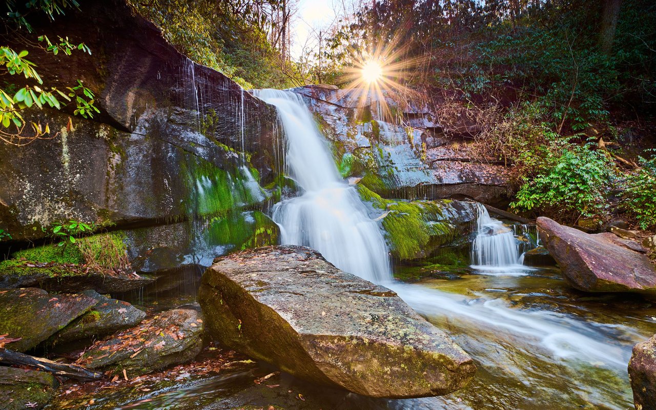Spruce Pine