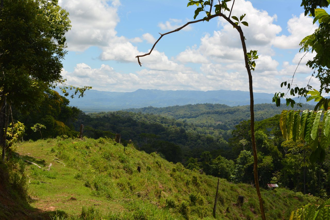 Osa Peninsula Los Mogos Magic Golfo Dulce Views 71 Acres