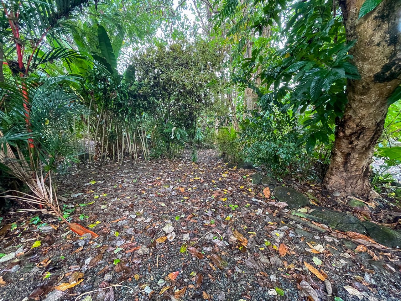 Cozy Colonial Home with Lush Gardens and Prime Commercial Prospects