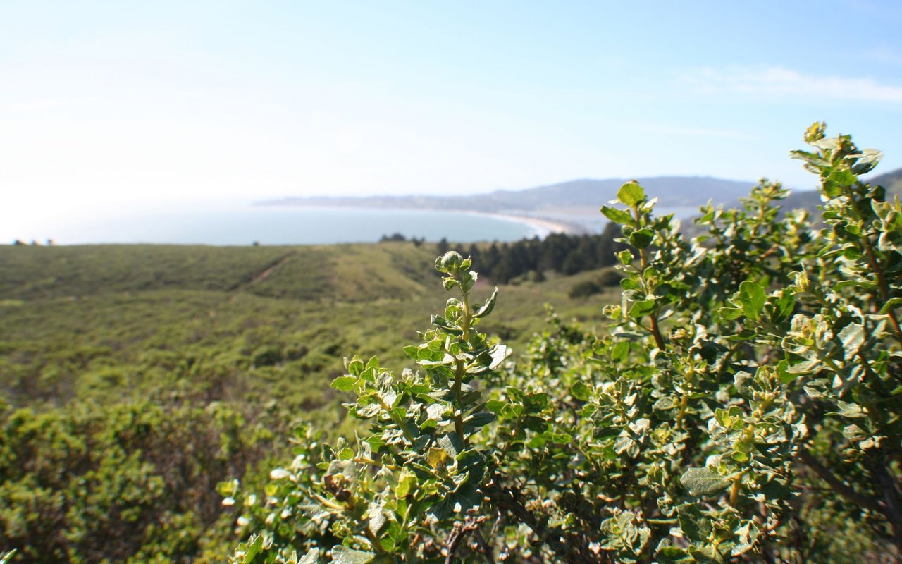 Kentfield