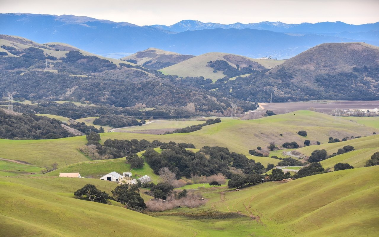 Salinas