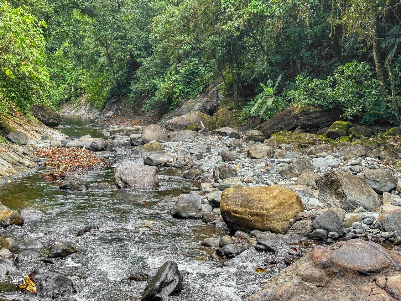 Jungle, Mountain & Valley View Lot with Two Large Plantels, Bordering a Crystal Mountain River with Swimholes & a Waterfall