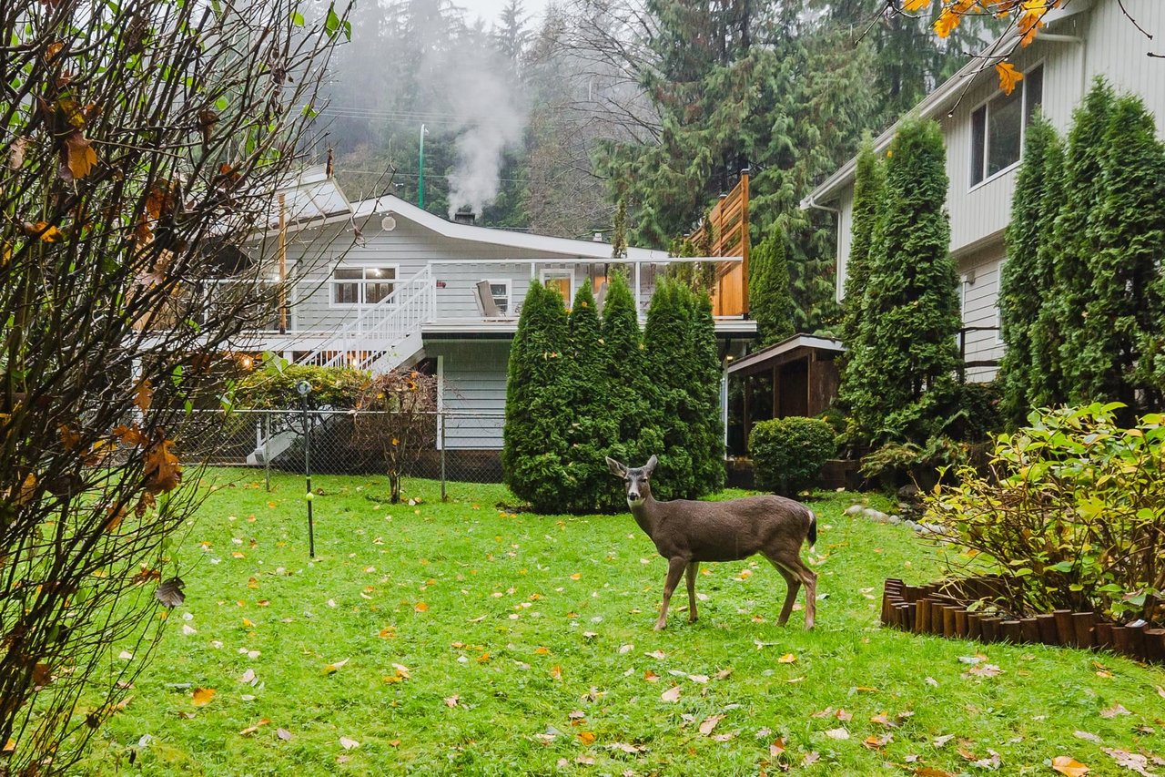 1650 Deep Cove Rd