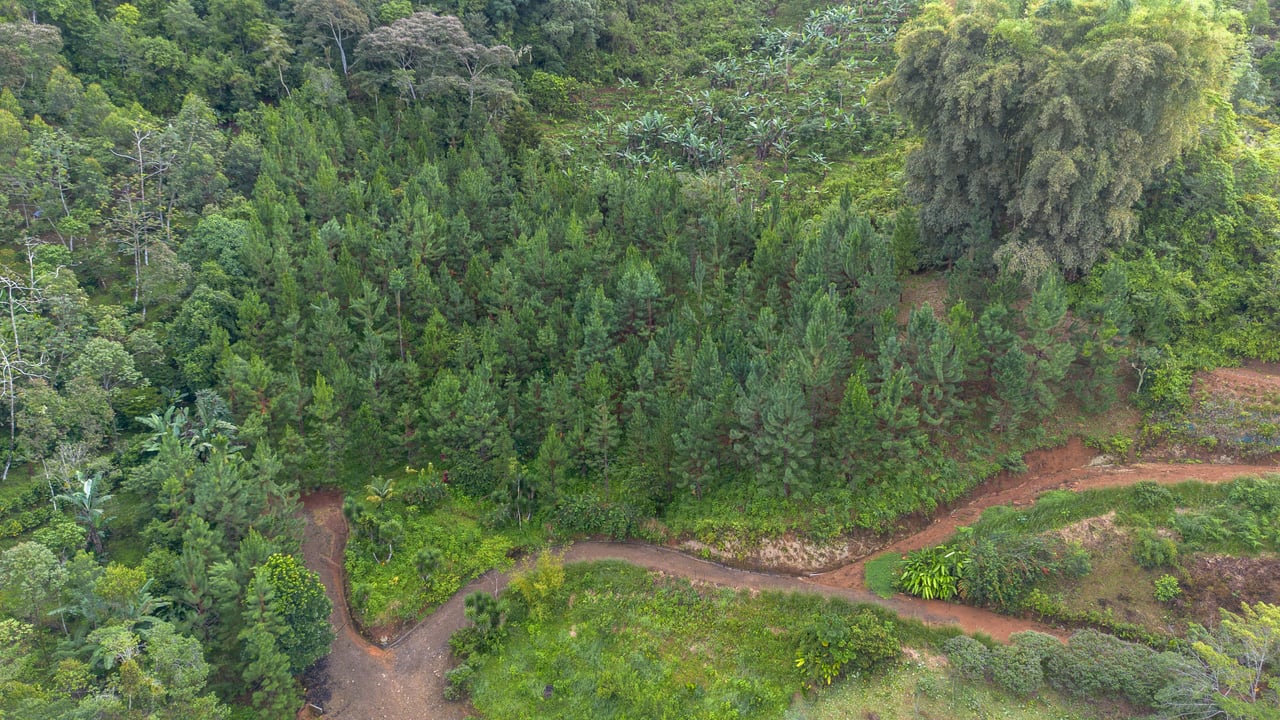10.21 Acres with Views & Plantels – Pérez Zeledón