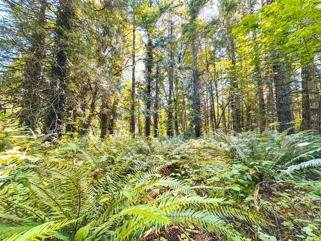 London Grove Riverfront