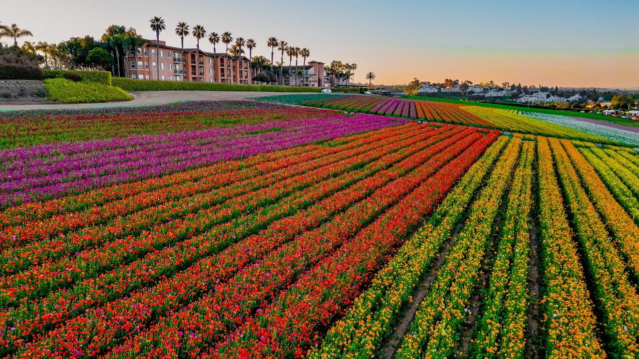 Carlsbad
