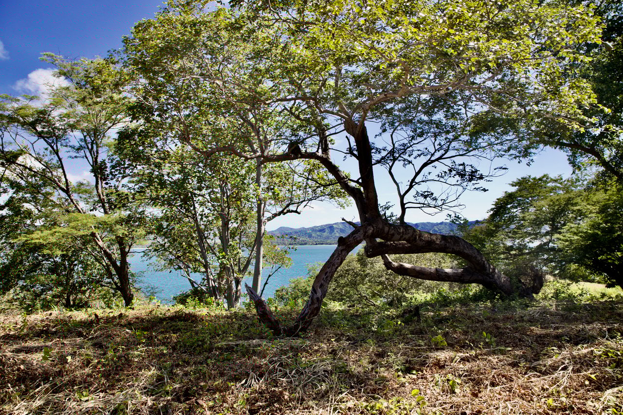 Titled Beachfront Development Parcel - Private Estate