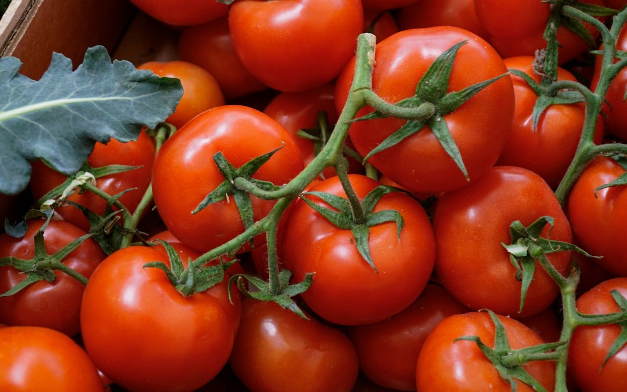 East Bay Bounty - Adventures in the Kitchen