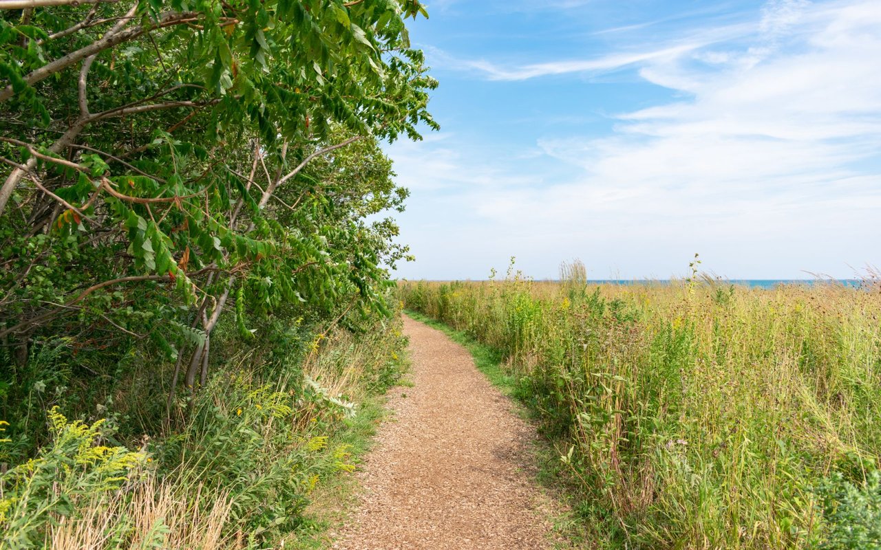 Montrose Beach Trail