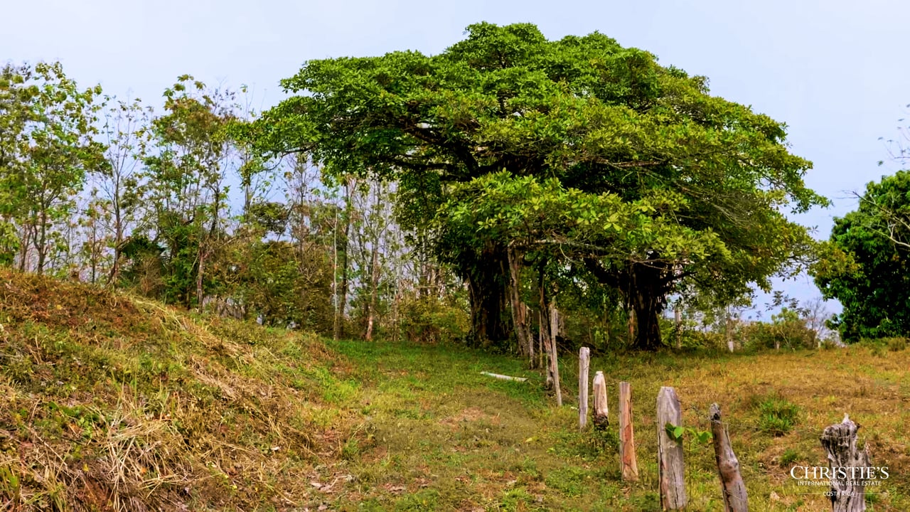 Blossom Hill Parcel in Santa Teresa