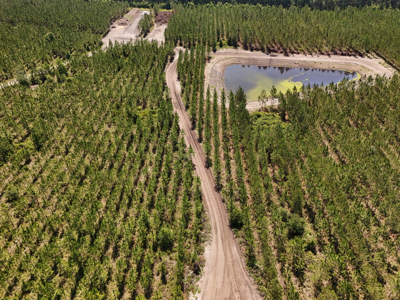 Protected green space near Saddletree Homes for Sale