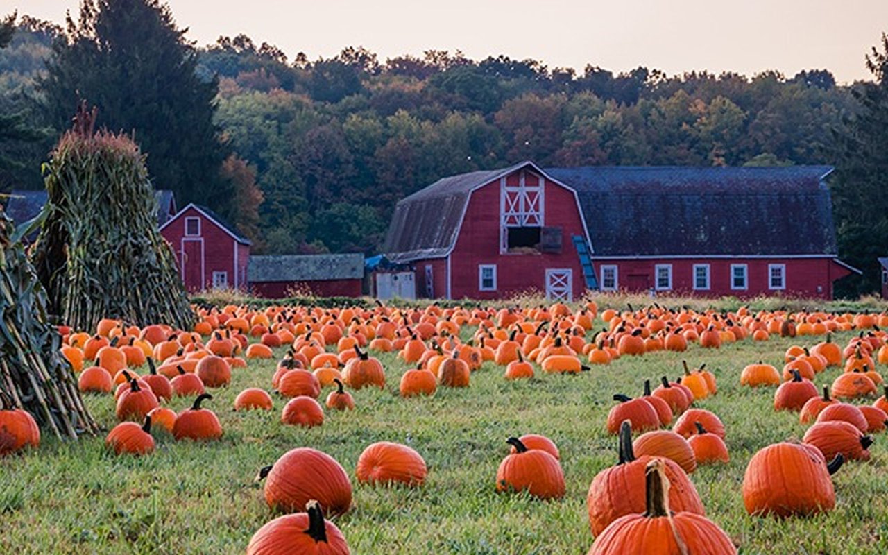 16 Best Fall Festivities in the Washington DC Area