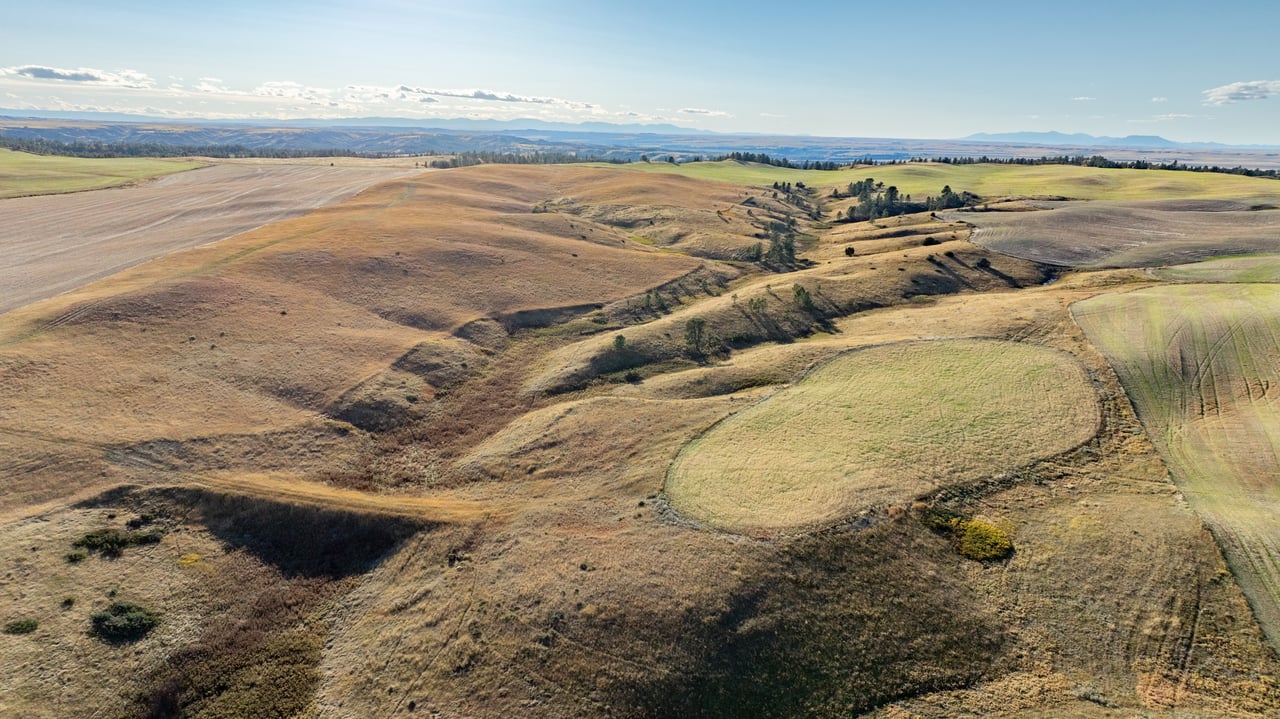 Salt Creek Ranch