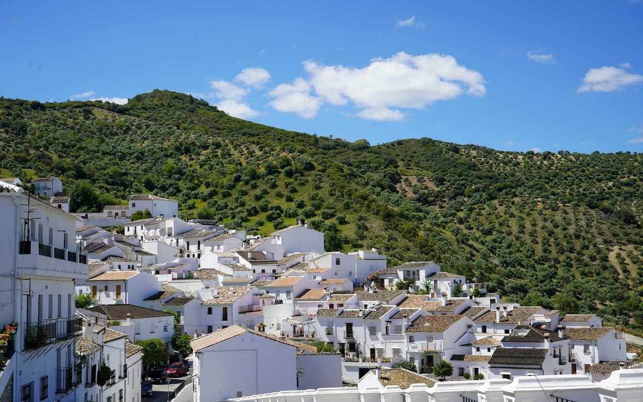 Allview Terrace