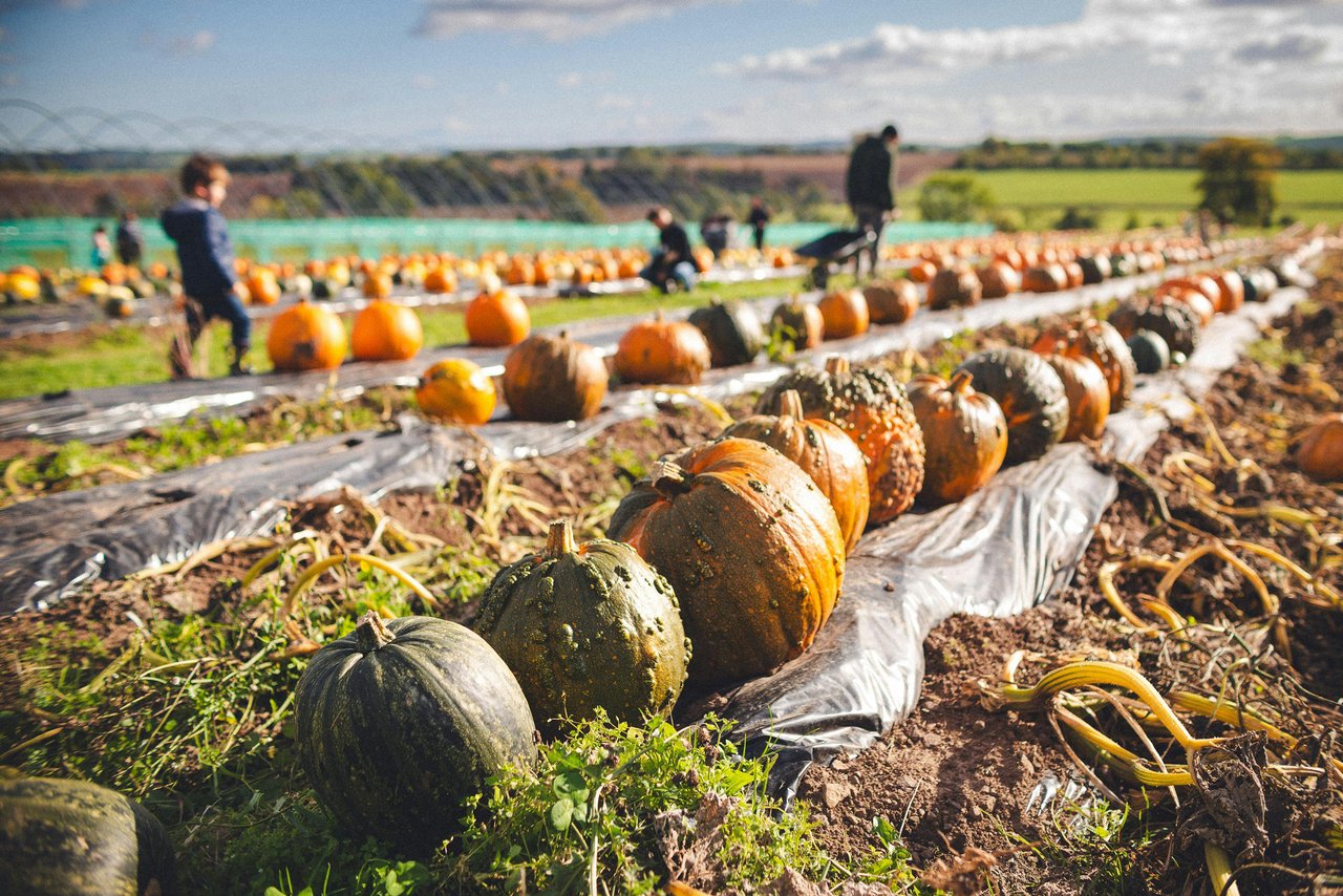 2025 Fall Activities and Things to Do: South Denver, Highlands Ranch, Littleton, Parker