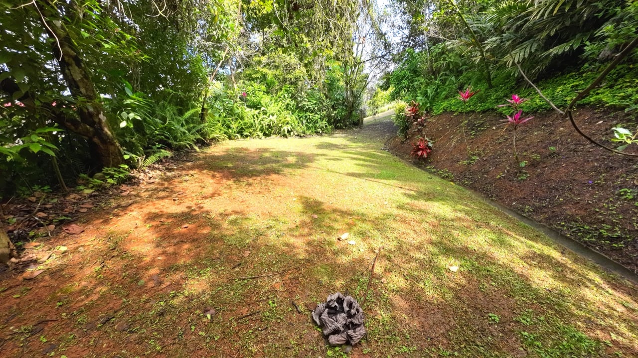 Valley of Dreams - A Beautiful Multi-Use Property Near Cacao Ridge, 10.85 Acres at a Phenomenal Price!