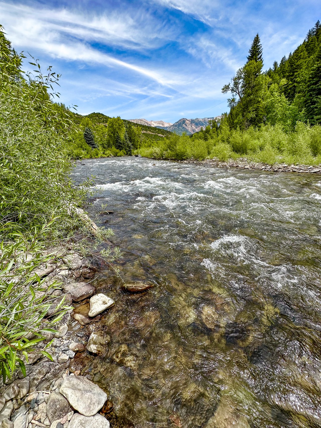 Rocky river bordered by green trees, with mountain peaks in the distance.