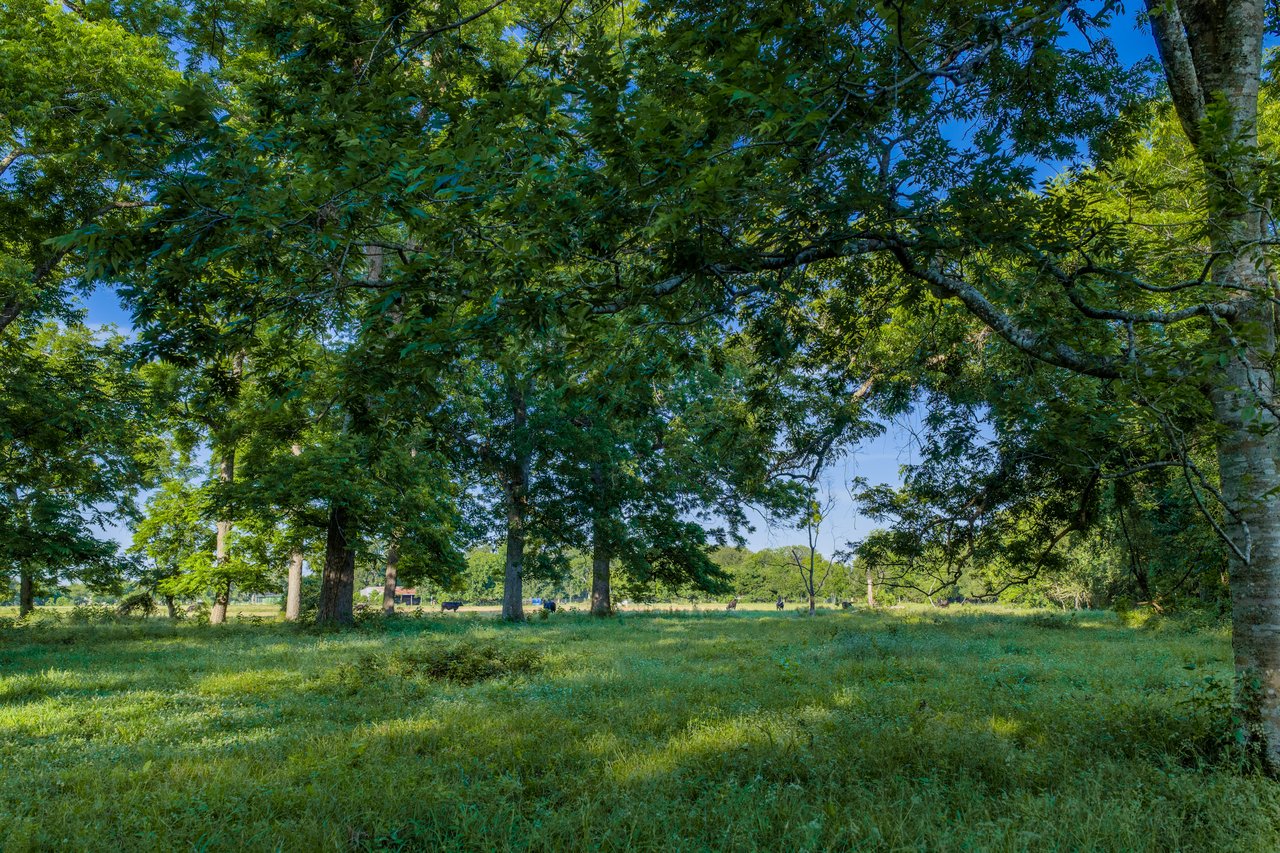 Private Listing: 27.65 Acres in Sugar Land b/w Riverstone & Sweetwater