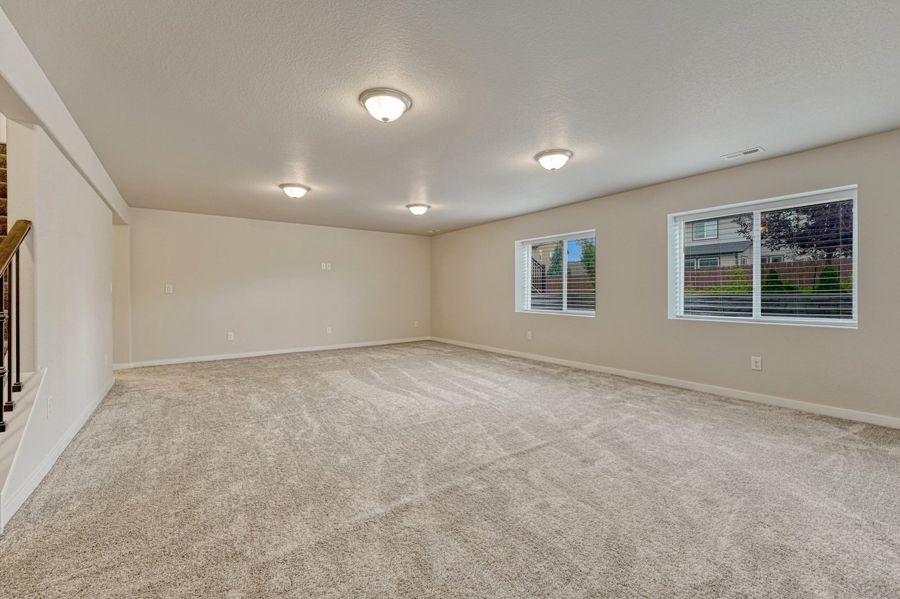 Carpeted lower-level family room with large windows