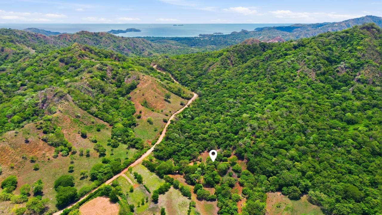3.4 Acres of Quiet Country Living | 12 minutes from the Beach - Tempate 