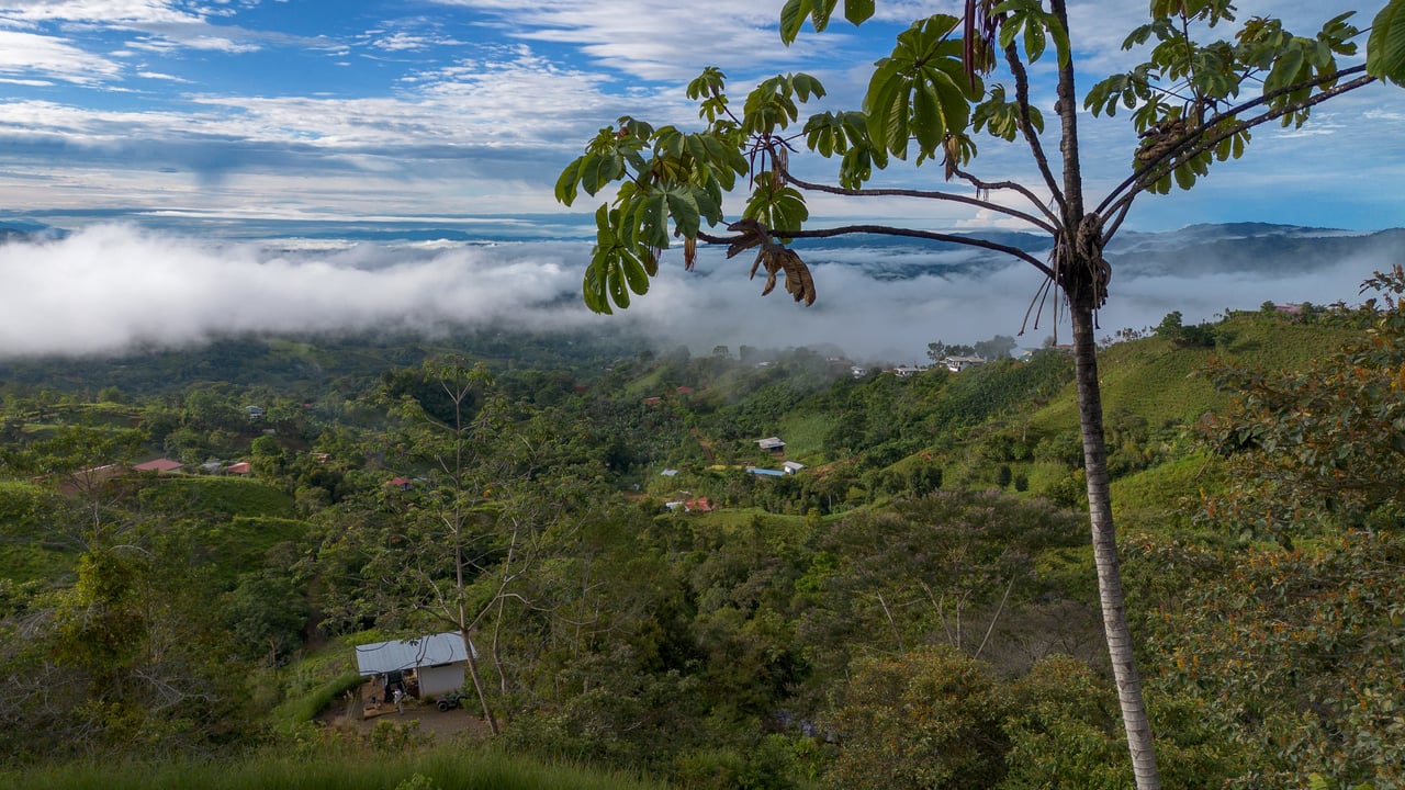 10.21 Acres with Views & Plantels – Pérez Zeledón