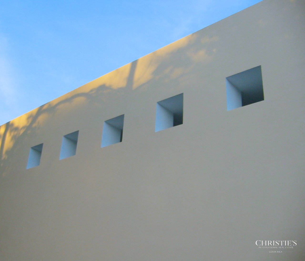 Jungle and Ocean Architectural Masterpiece