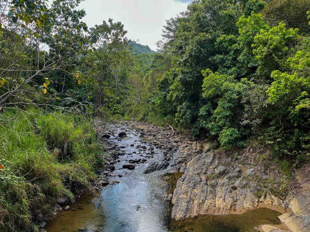 Waterfall Home in Private Community Affordable Jungle Home
