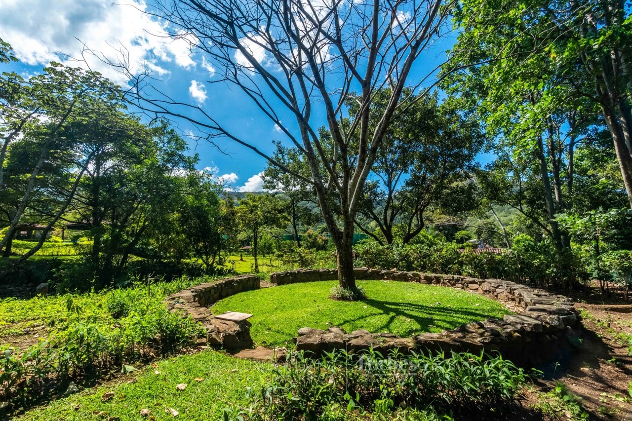 19759 - Architectural Hacienda Style Luxury Villa inTranquil Natural Oasis