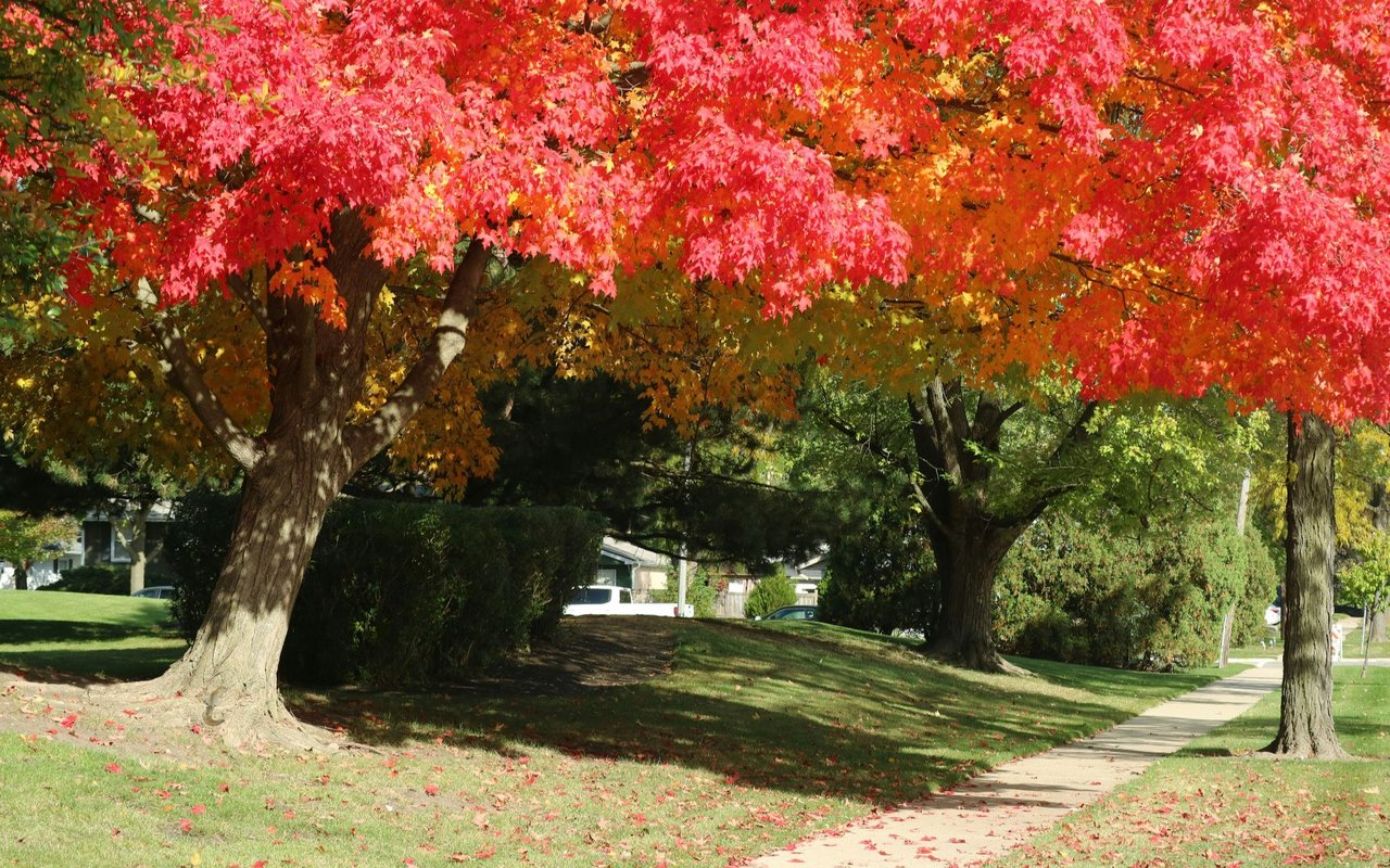 Cambridge of Buffalo Grove