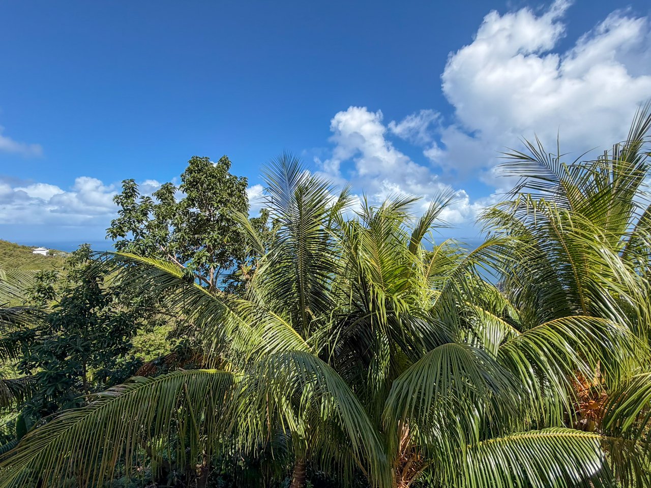 1120 Rogue's Bay 1 Bedroom Apartment