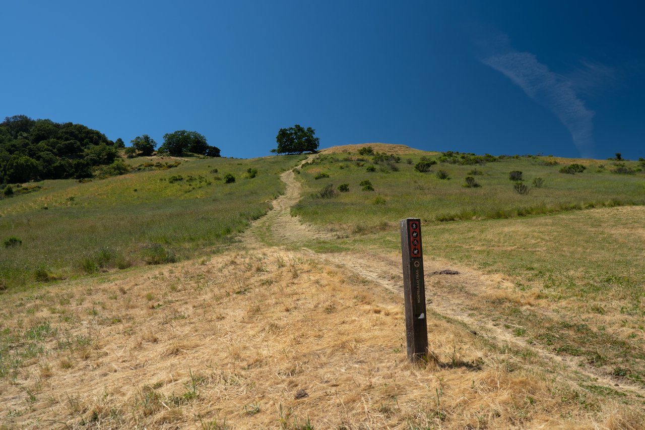 756 Del Ganado Rd