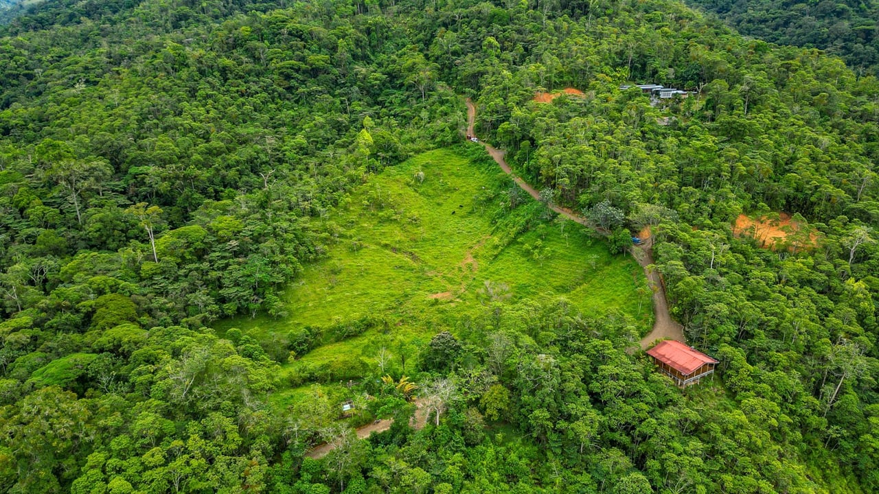 Riverfront Mountain View Acreage, Perez Zeledon, San Jose