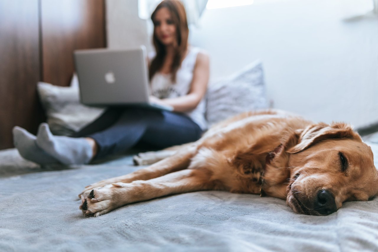 Homebuyer Burnout: Why You Shouldn’t Give up Now﻿