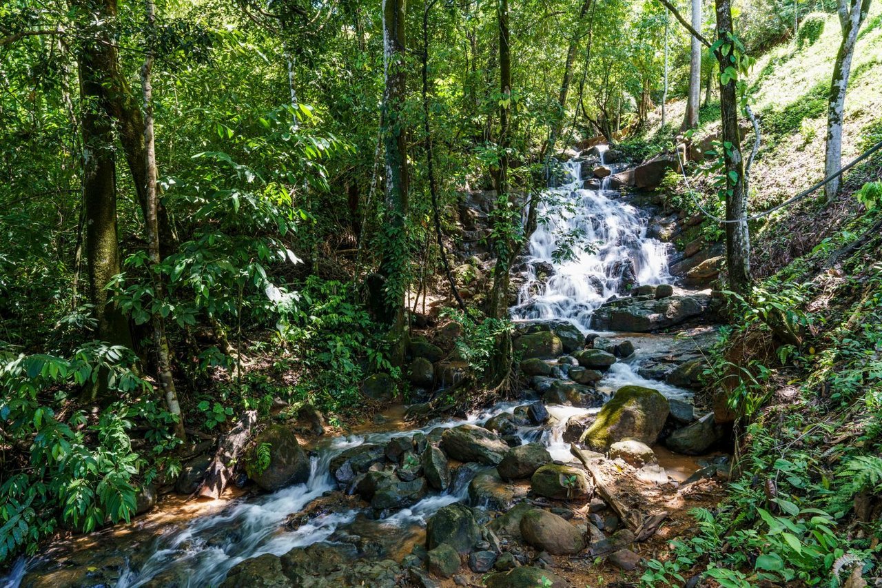 Waterfall Ocean View Land, Dominical, Puntarenas
