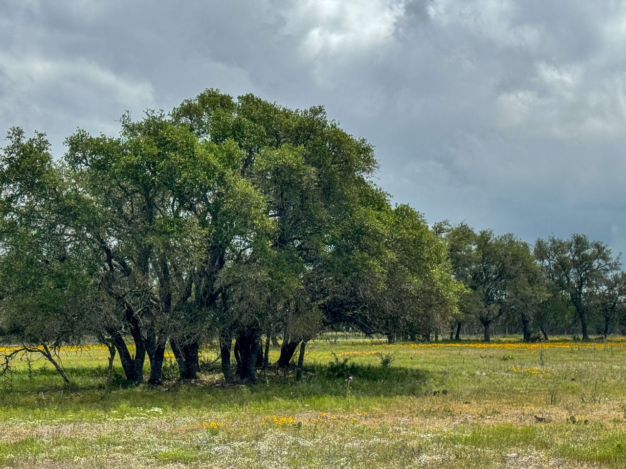 10.48 +/- ACRES | Unzoned 783 Ranch Road Frontage, Gillespie County, TX