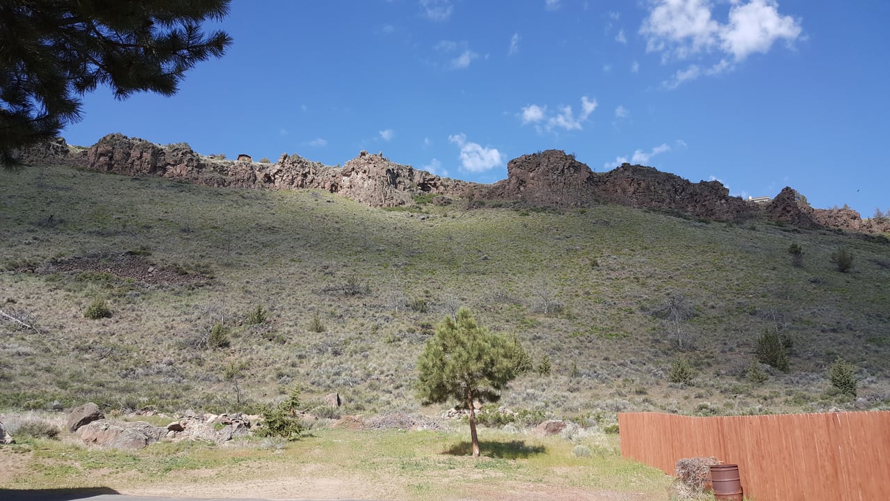11564 SW Horny Hollow Trail 