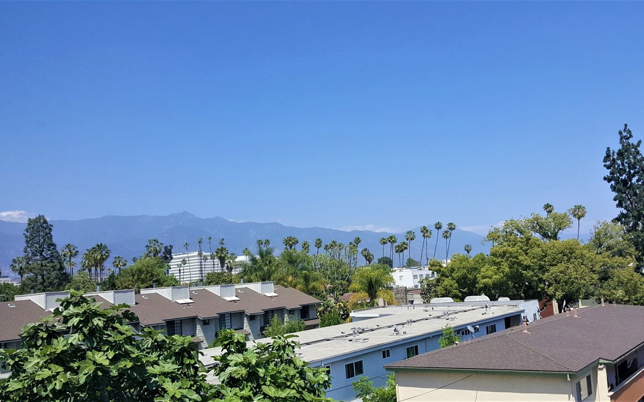 East Pasadena rooftops and palm trees with the San Gabriel Mountains in the distance.