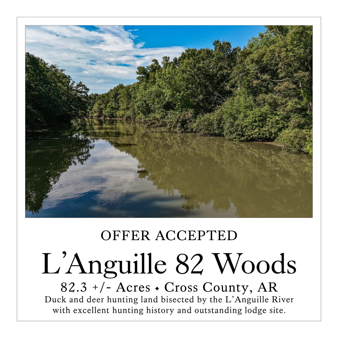 L'Anguille 82 Woods