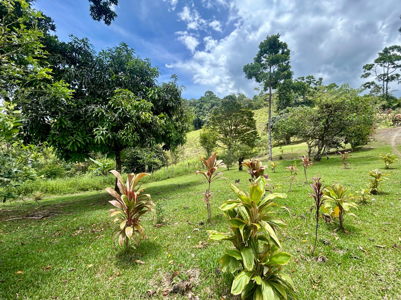 Spring, Waterfalls and more!  Farm in San Vito Limoncito!