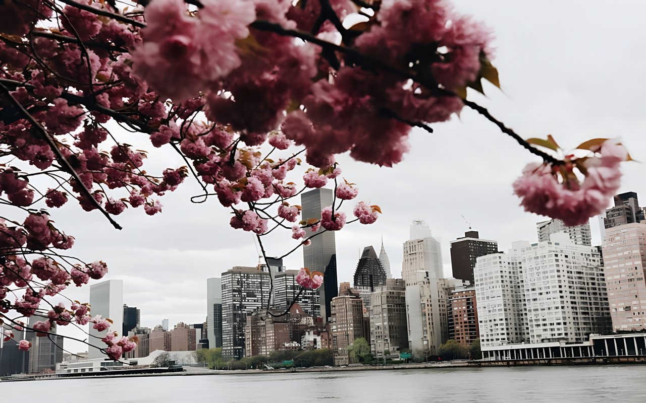 Weekly Manhattan & Brooklyn Market: 3/7