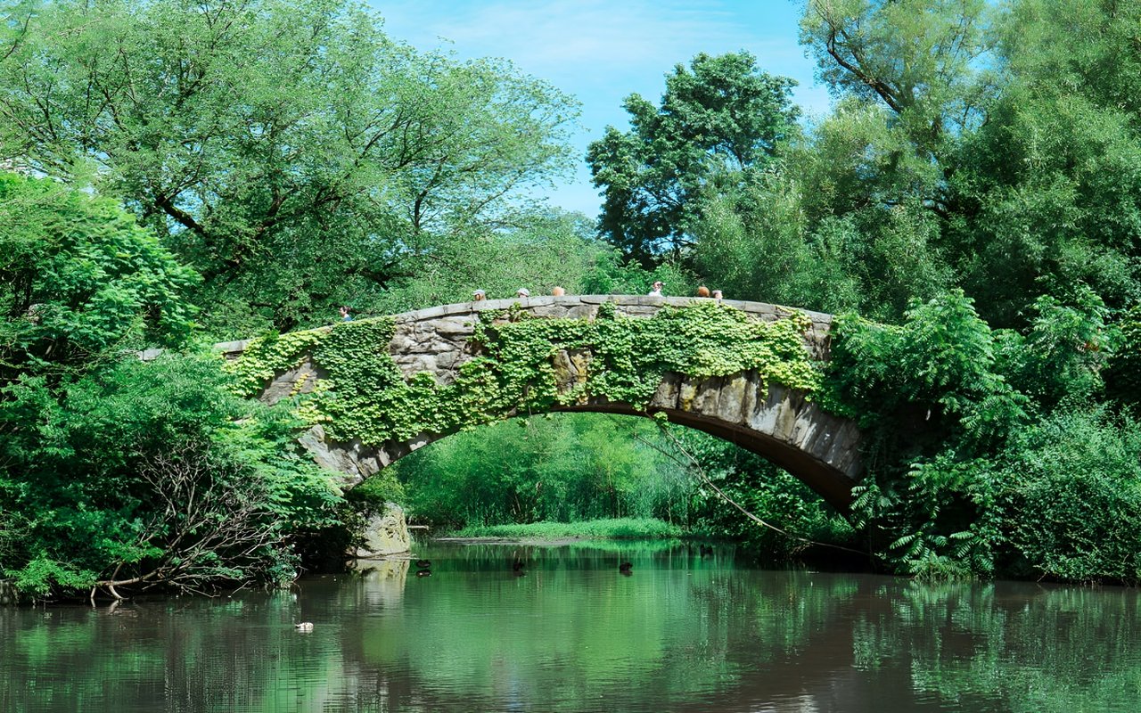 Weekly Manhattan & Brooklyn Market: 7/18